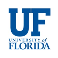 University of Florida 