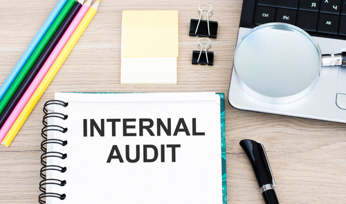 internal auditor