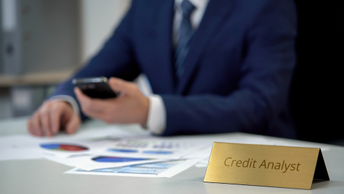 what is a credit analyst